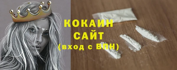прущие грибы Михайлов