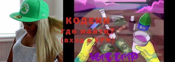 прущие грибы Михайлов