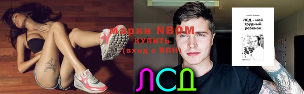 гашик Михайловск