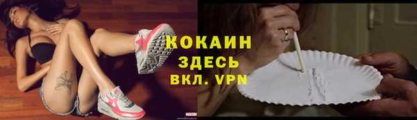 прущие грибы Михайлов