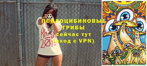 гашик Михайловск