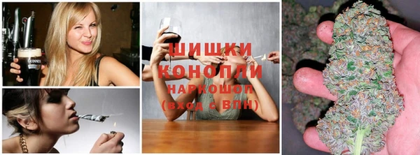 прущие грибы Михайлов