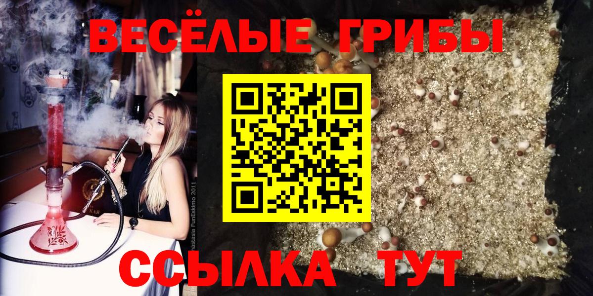 Брянск  Псилоцибиновые грибы мухоморы  Вход с VPN  Галлюциногенные грибы ЛСД 