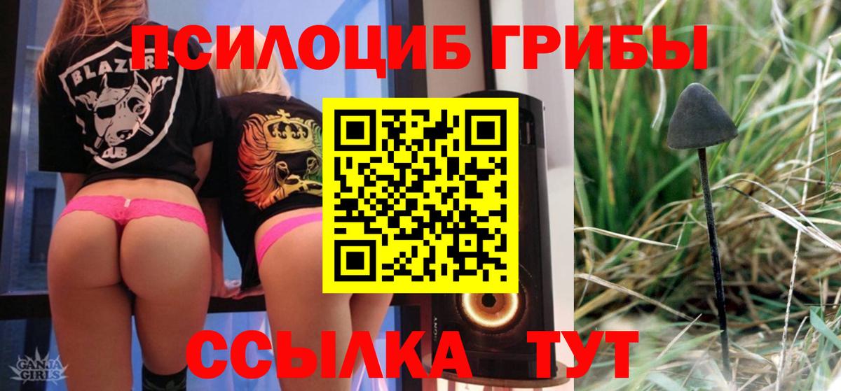 Псилоцибиновые грибы ЛСД  Псилоцибиновые грибы мицелий  Брянск 